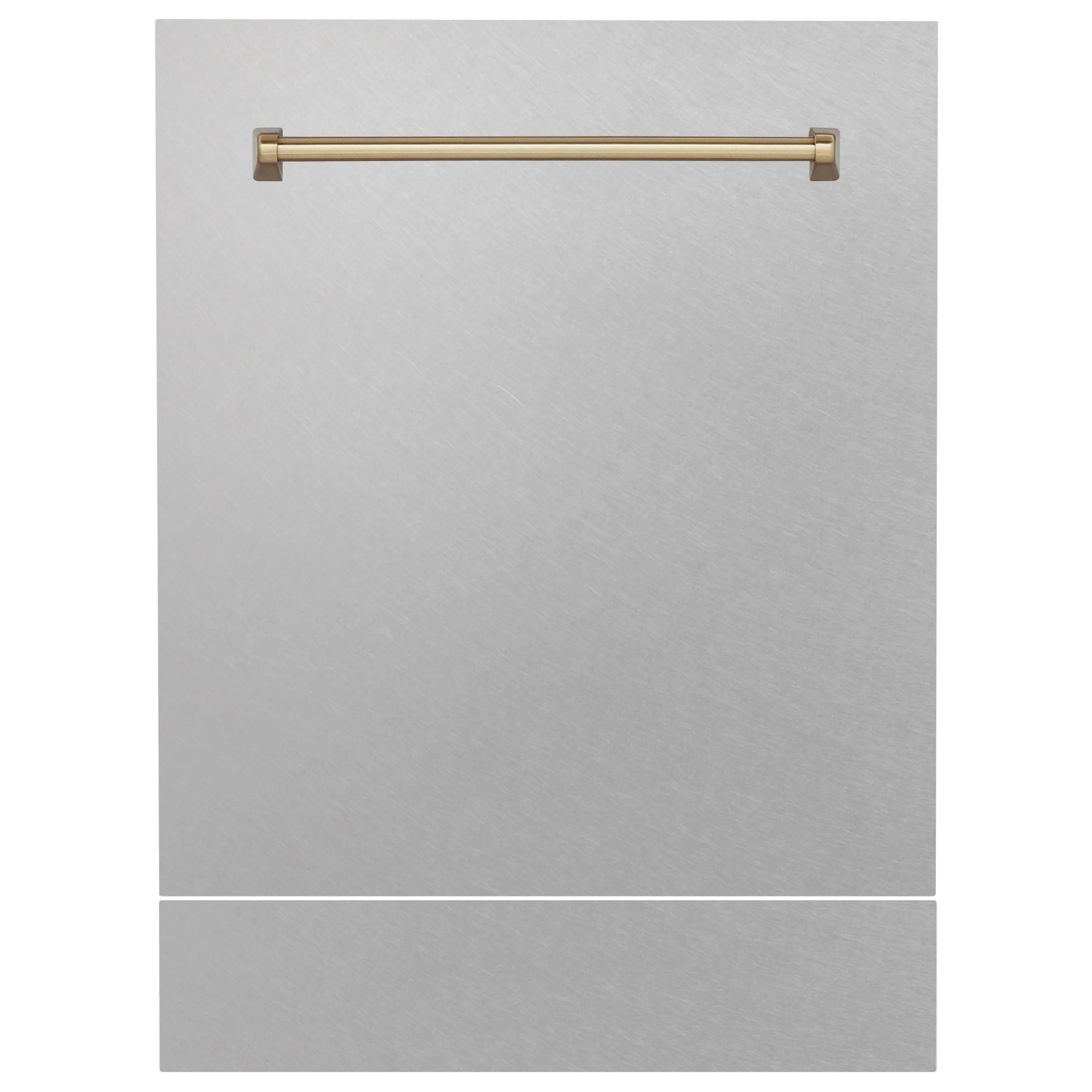 ZLINE 24" Autograph Edition Tallac Dishwasher Panel in DuraSnow® Stainless Steel with Accent handle (DPVZ-SN-24)