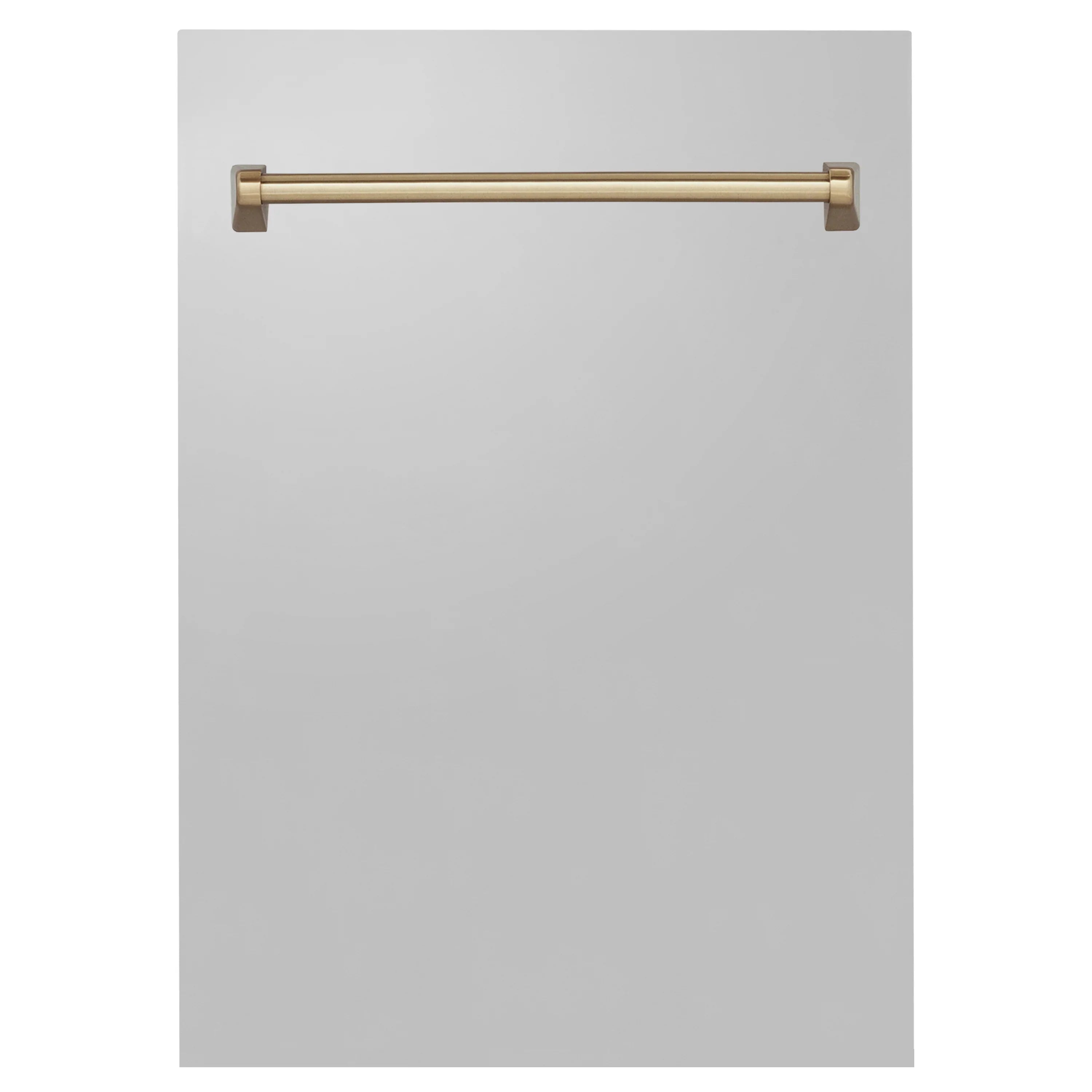 ZLINE 18" Autograph Edition Tallac Dishwasher Panel in Stainless Steel with Accent Handle (DPVZ-304-18)